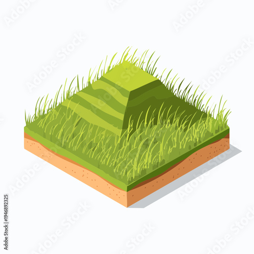 Dazzling Golden Hour Light Shines Upon a Tranquil Meadow of Textured Grass, Creating a Dreamlike and Peaceful Atmosphere