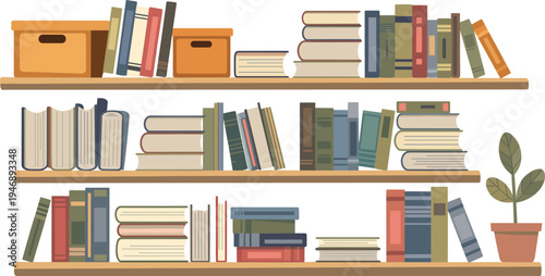 Three wooden shelves filled with multicolored books and storage boxes and a potted plant on white background