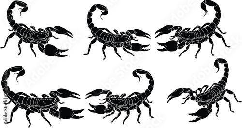 Collection of scorpion silhouettes in various poses with detailed pincers, legs, segmented bodies, and curved tails vector illustration design