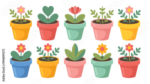 Colorful flower pots with blossoming plants and vibrant flowers.