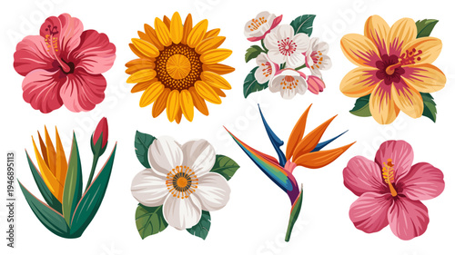 A collection of eight vibrant, beautifully illustrated flowers in a stunning arrangement.