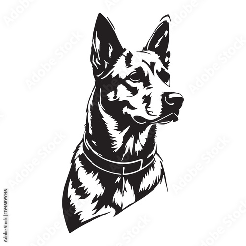 Akbash Dog – Loyal Turkish Livestock Guardian, Powerful White Shepherd Breed, Intelligent Protector, Brave Farm Dog, Calm Temperament, Family Friendly, Working Guardian, Rare Herding Dog, Strong.