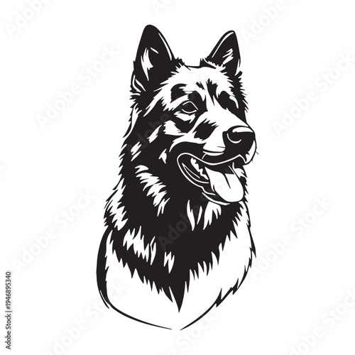 Akbash Dog – Loyal Turkish Livestock Guardian, Powerful White Shepherd Breed, Intelligent Protector, Brave Farm Dog, Calm Temperament, Family Friendly, Working Guardian, Rare Herding Dog, Strong.