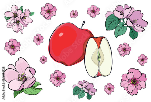 Set of blooming apple flowers and sliced ripe fruit in decorative composition vector
