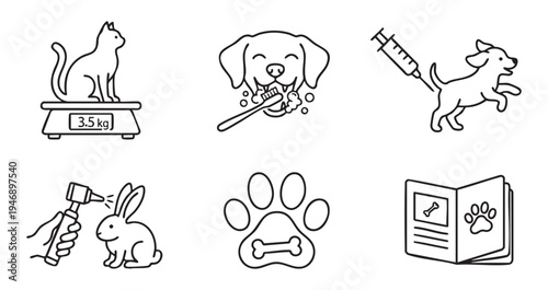 Veterinary clinic service and pet healthcare collection with cat weighing dog vaccination and dental care line art on a transparent background.