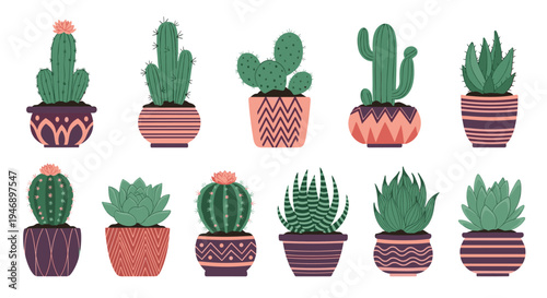 Collection of various green cacti and succulents in patterned ceramic pots arranged in two rows on a clean white background.