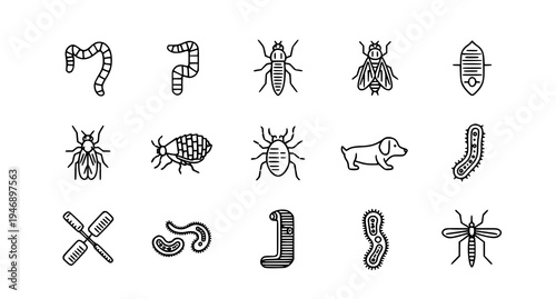 A set of black and white vector icons depicting various insects and worms in a minimalist line art style
