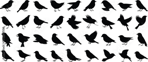Bird silhouette collection, flying perched standing birds, diverse species shapes, ornithology study reference, wildlife illustration design, artistic pattern recognition set
