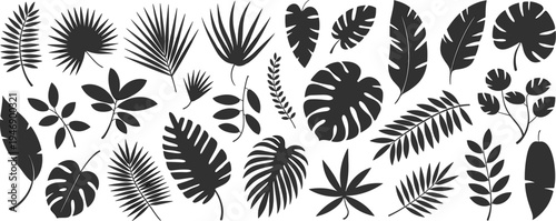 Silhouette tropical exotic leaves, palm monstera banana fern foliage, botanical illustration, black leaf shapes, nature design, decorative pattern, artistic background