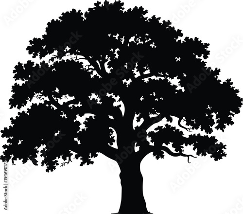 Tree silhouette, mature trunk, rounded canopy, dense foliage, nature design, forest icon, botanical art, growth symbol, environmental figure, organic style