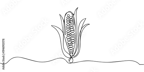 corn continuous one line drawing, Maize ear in continuous line art drawing style. Corn cob black linear sketch isolated on white background, one line Art icon drawing. Continuous one line drawing