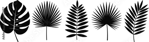 Tropical palm leaf silhouette collection featuring monstera, fan palms, fern fronds, jungle foliage, elegant botanical vector icons set for summer.Tropical palm leaf silhouette collectio