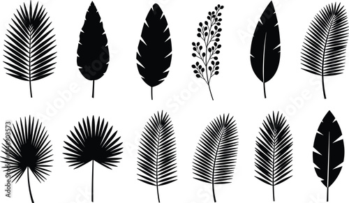 Tropical palm leaf silhouette collection featuring monstera, banana leaves, fan palms, fern fronds, elegant jungle botanical vector icons for summer.