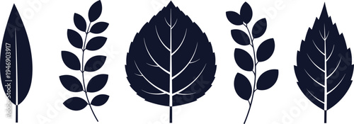 Black leaf silhouette collection featuring serrated birch leaves, eucalyptus branches, forest foliage, elegant nature botanical vector icons set for wedding decoration.