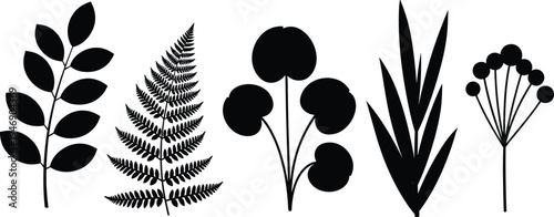 Botanical leaf silhouette collection featuring fern fronds, tropical leaves, eucalyptus, forest plants, elegant nature vector icons set for wedding decoration.