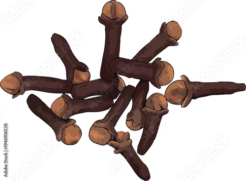 vector of cloves