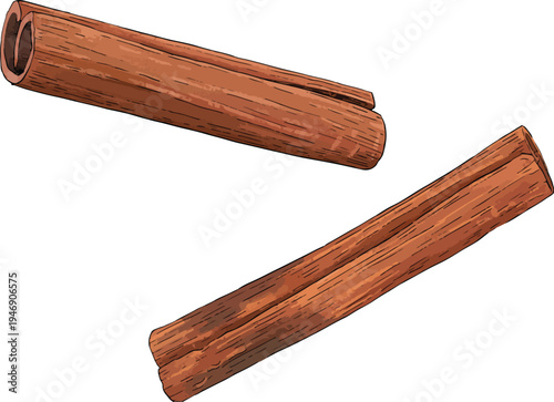 vector of cinnamon
