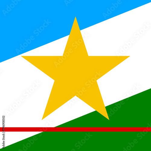 Roraima Square Flag Vector Icon Element