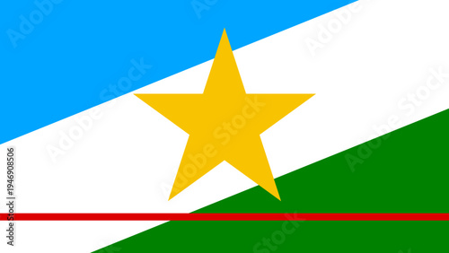 Roraima State Flag Vector Illustration Graphic
