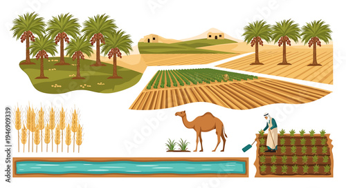 Desert Oasis Agriculture with Camel and Farmer Harvesting Wheat. Vector Illustrations. EPS Editable
