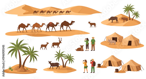 Desert Oasis and Caravan Scene Collection. Vector Illustrations. EPS Editable