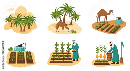 Desert Oasis Farming and Agriculture Scenes. Vector Illustrations. EPS Editable