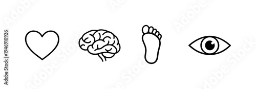 Minimal black line icons of heart, brain, footprint, and eye arranged in a row on a soft gray gradient background, symbolizing senses and emotion