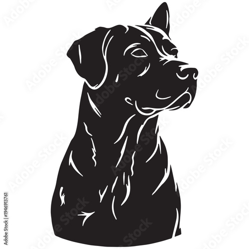 Armenian Gampr Dog – Ancient Livestock Guardian Breed, Powerful, Loyal, Protective Mountain Dog from Armenia, Natural Working Dog, Rare Shepherd Breed, Intelligent Protector, Strong, Brave.