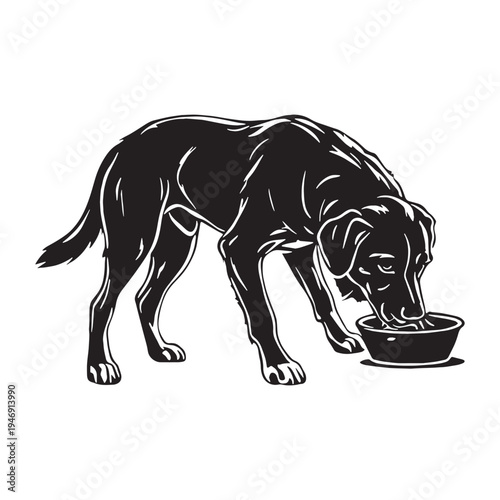 Armenian Gampr Dog – Ancient Livestock Guardian Breed, Powerful, Loyal, Protective Mountain Dog from Armenia, Natural Working Dog, Rare Shepherd Breed, Intelligent Protector, Strong, Brave.