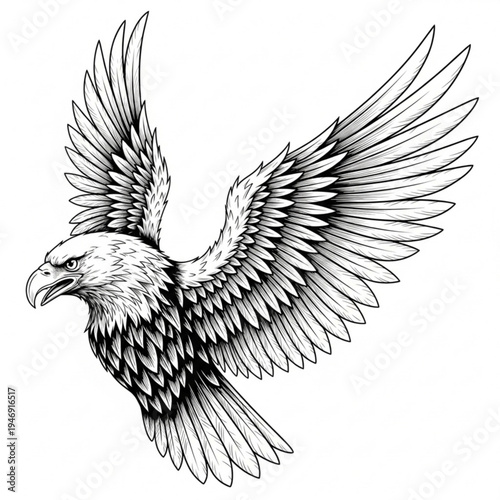 A black and white illustration of an eagle in flight
