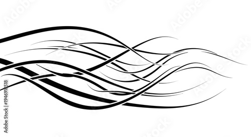 Abstract Black Thin Wavy Lines Creating Delicate Motion on Isolated White Background