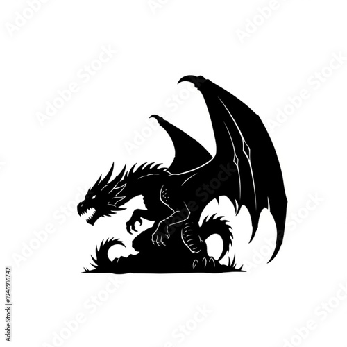 Black dragon silhouette on with grass