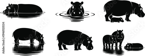 Black silhouette hippopotamuses in water and land poses, walking, standing, swimming, resting, reflections, wildlife behavior vector illustration artwork