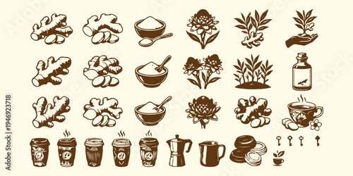 herb plant icons, spice botanical set, cooking herbs illustration, kitchen plant vector, natural leaf clipart, herbal symbols collection, spice outline bundle