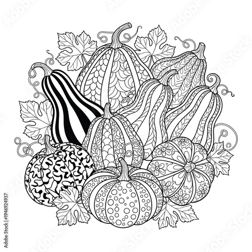 Silhouette of various pumpkins and squashes in a decorative arrangement