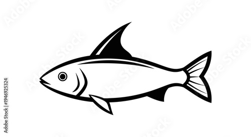fish isolated on white background