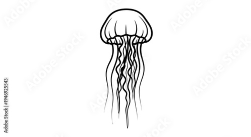Black and white line art illustration of a jellyfish with flowing tentacles.