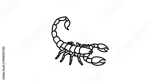 Black and white outline drawing of a scorpion with its tail curled up.
