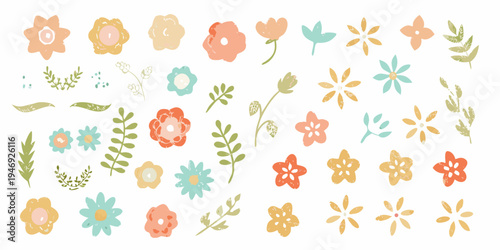 A collection of hand drawn colorful floral and botanical illustrations