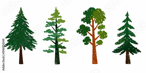 A collection of illustrated evergreen and deciduous trees in a row