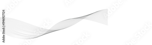 Abstract Vector Composition of Wave Lines on Transparent Background – Ideal for High-Tech Communication Designs, Big Data Reports, Research Presentations, and Business Technology Collateral