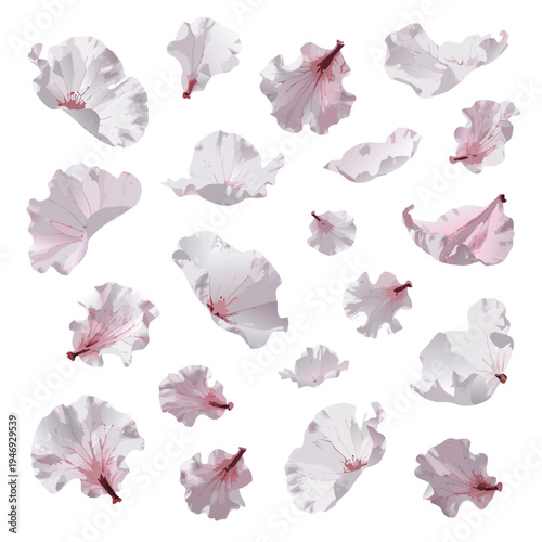 Photorealistic Cherry Blossom Petal Sakura Set Vector Illustration