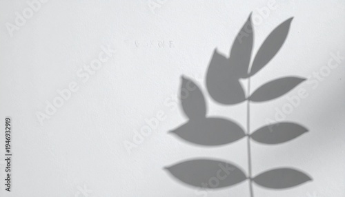 A minimalist gray leafy plant silhouette stands against a plain background