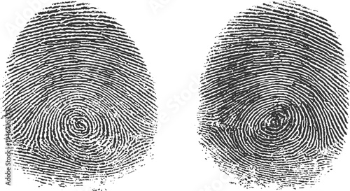 Two black fingerprints on white background. Fingerprint pattern isolated on transparent background for security purposes