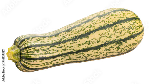 Isolated fresh striped squash vegetable with vibrant green and yellow patterns, healthy food