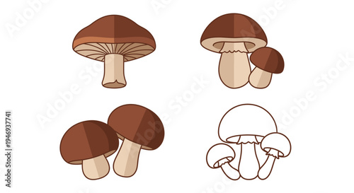 Brown Mushroom Icons Vector Illustration Collection