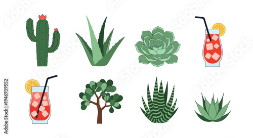 Colorful botanical illustrations and refreshing drinks