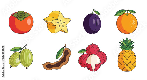 Colorful collection of fresh tropical fruits