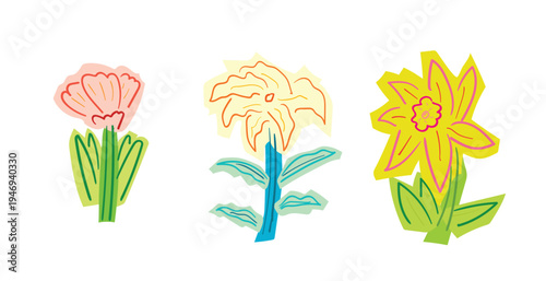 Vibrant colorful flowers in full bloom for decoration. Beautiful vibrant flowers in full bloom for decoration or design inspiration