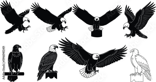 Bald eagle black silhouette collection featuring various poses of flying hunting and perching predatory birds ===me=ign.================================================================================